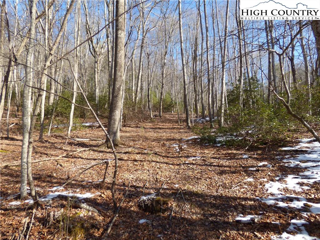 Image number 6 for the current listing