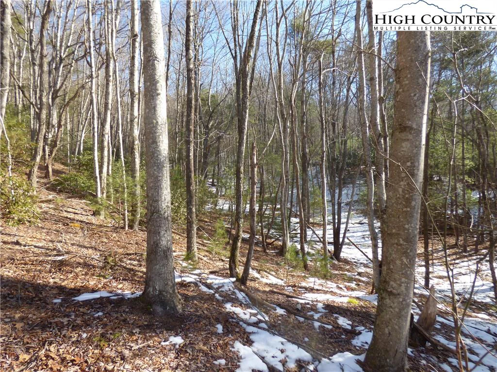 Image number 8 for the current listing