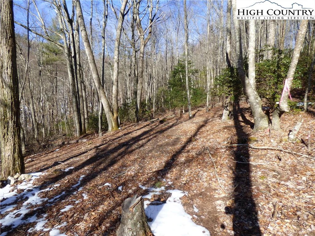 Image number 9 for the current listing