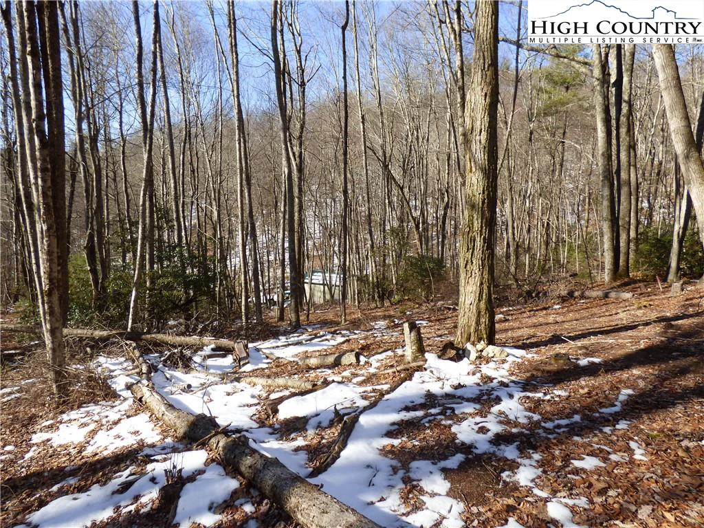 Image number 10 for the current listing