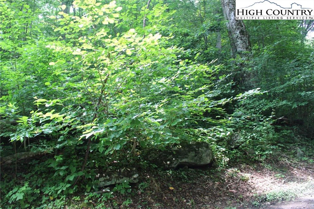 Image number 1 for the current listing