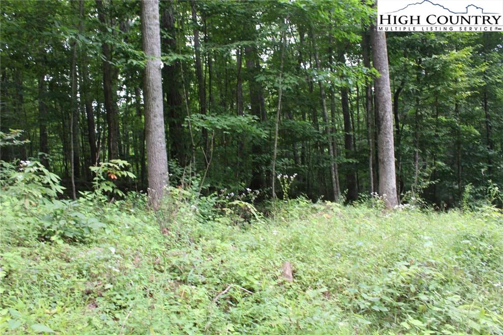 Image number 11 for the current listing