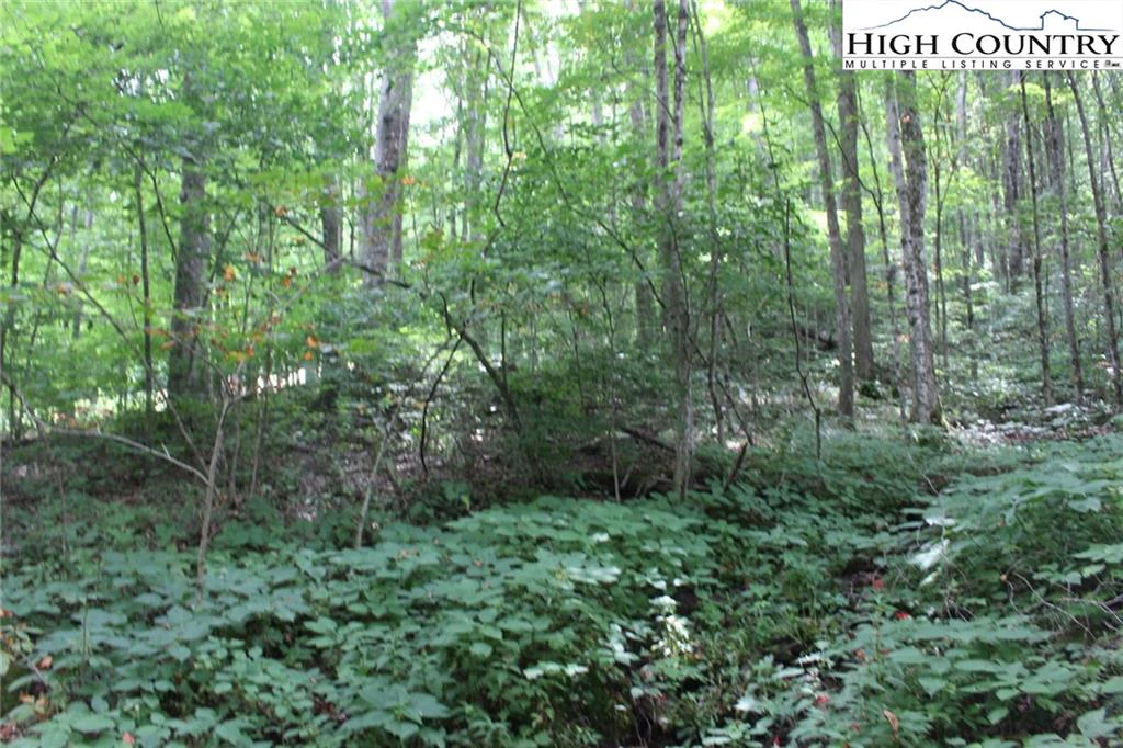 Image number 3 for the current listing