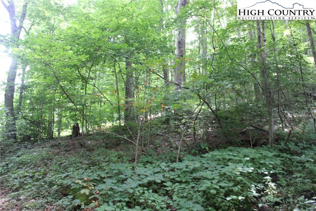 Image number 4 for the current listing