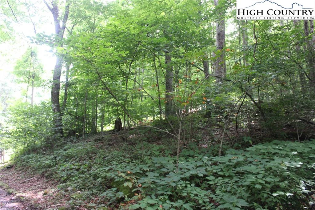 Image number 5 for the current listing