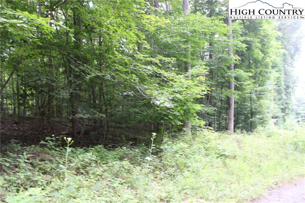 Image number 8 for the current listing