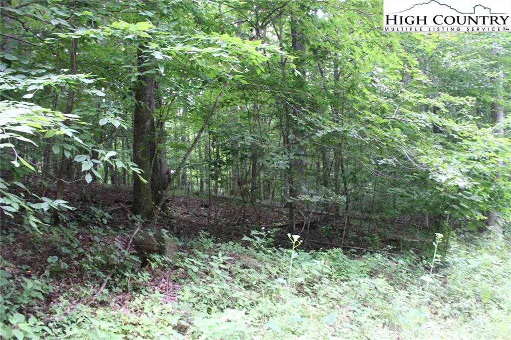 Image number 9 for the current listing
