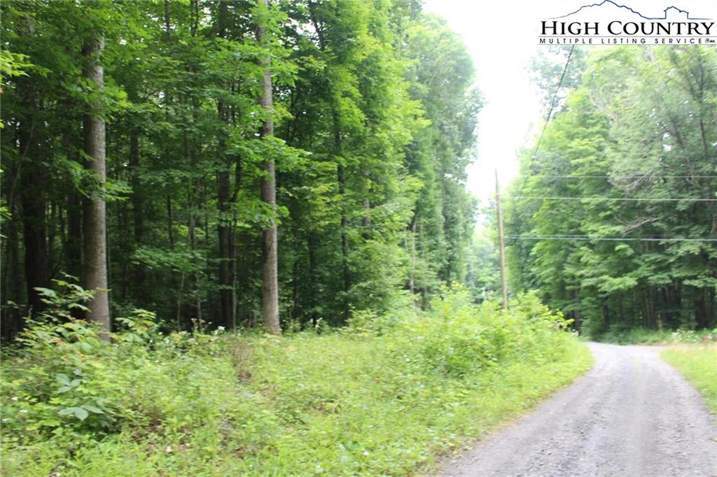 Image number 10 for the current listing