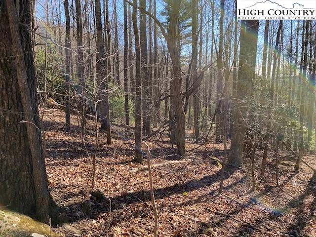 Image number 1 for the current listing