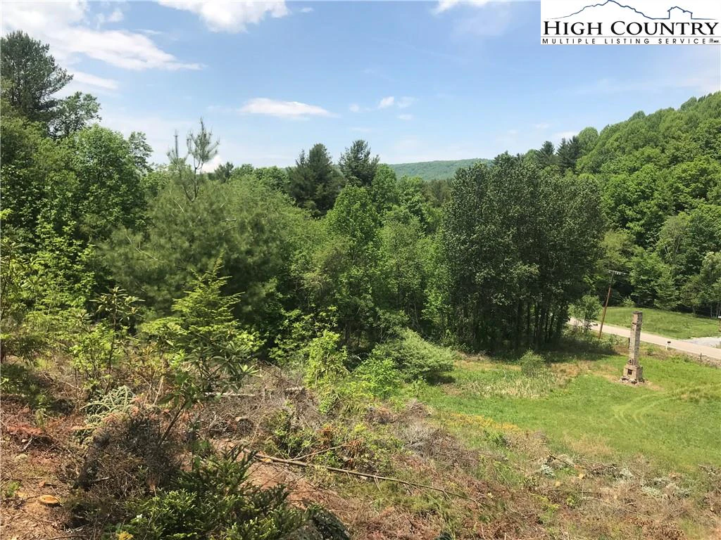 Image number 1 for the current listing