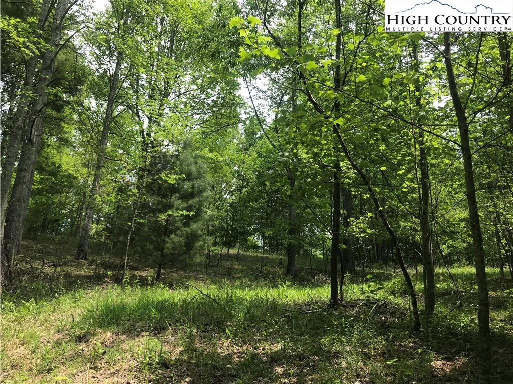 Image number 6 for the current listing