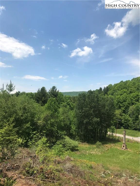 Image number 7 for the current listing