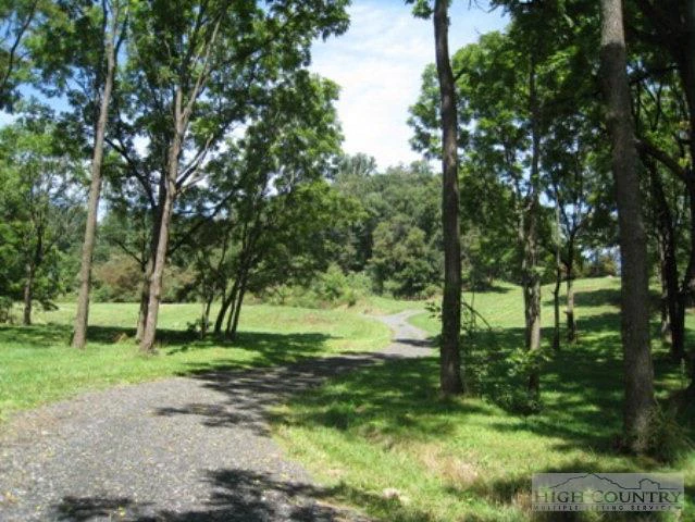 Image number 3 for the current listing