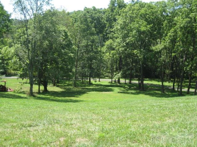 Image number 4 for the current listing