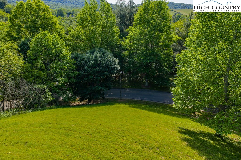 Image number 2 for the current listing