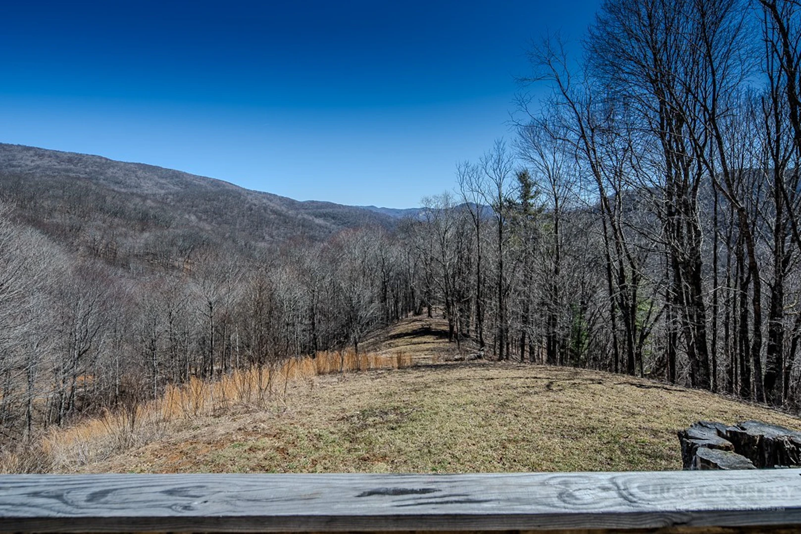 Image number 9 for the current listing