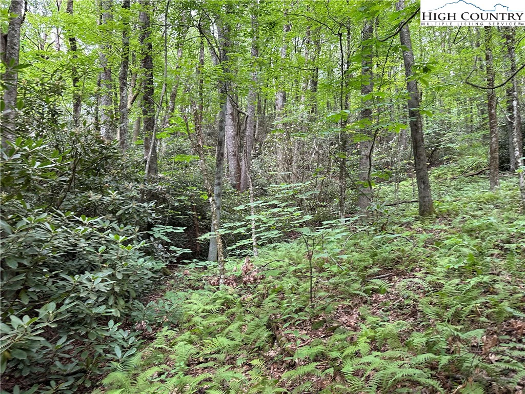 Image number 14 for the current listing