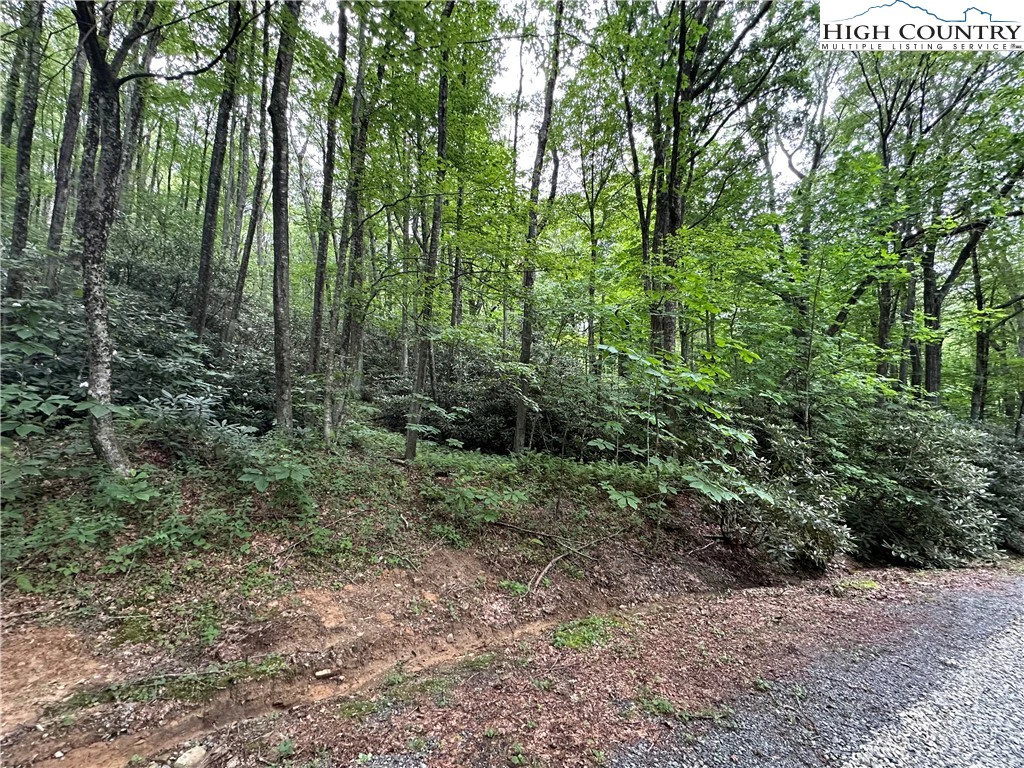 Image number 7 for the current listing