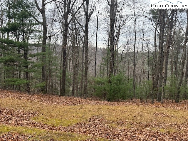 Image number 1 for the current listing