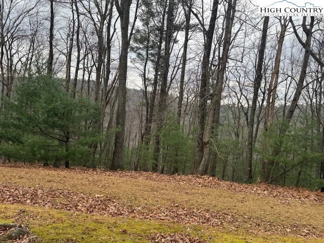 Image number 5 for the current listing