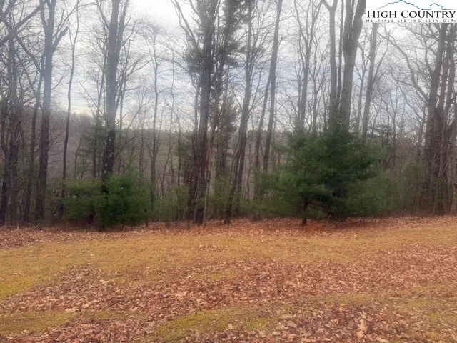 Image number 6 for the current listing