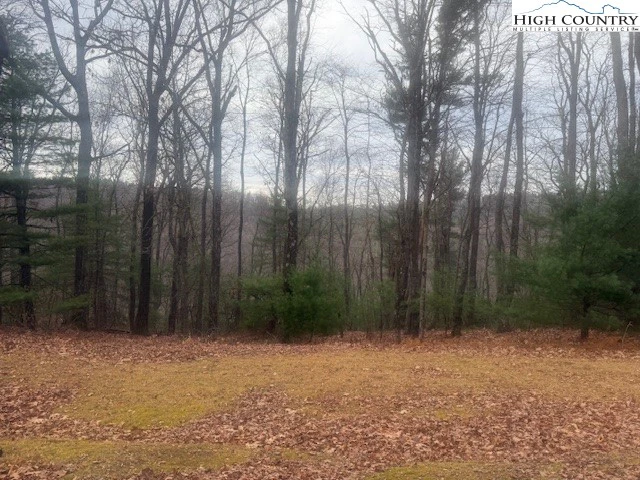 Image number 7 for the current listing