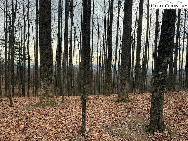 Image number 1 for the current listing