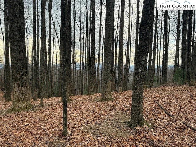 Image number 4 for the current listing