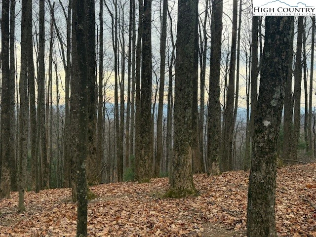 Image number 5 for the current listing