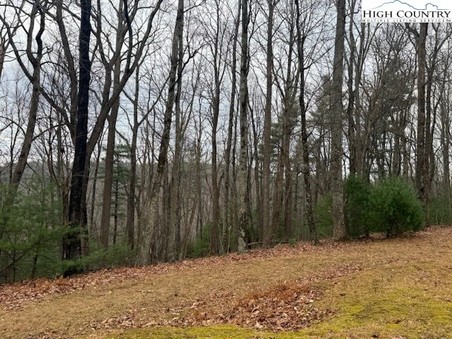 Image number 8 for the current listing