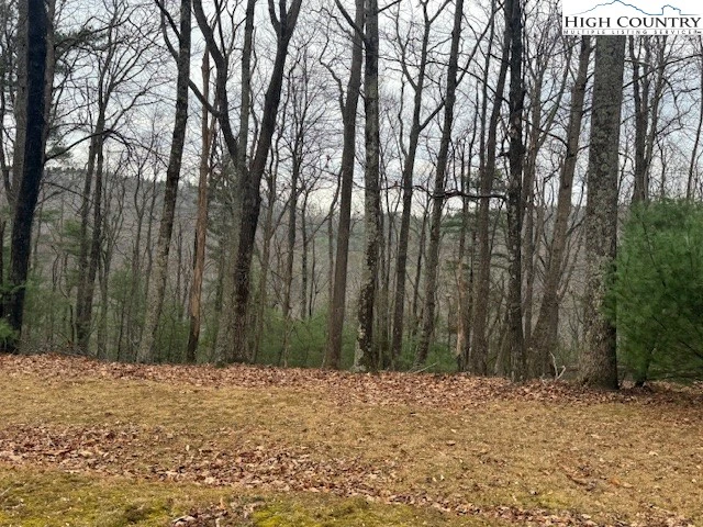 Image number 9 for the current listing