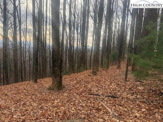 Image number 11 for the current listing