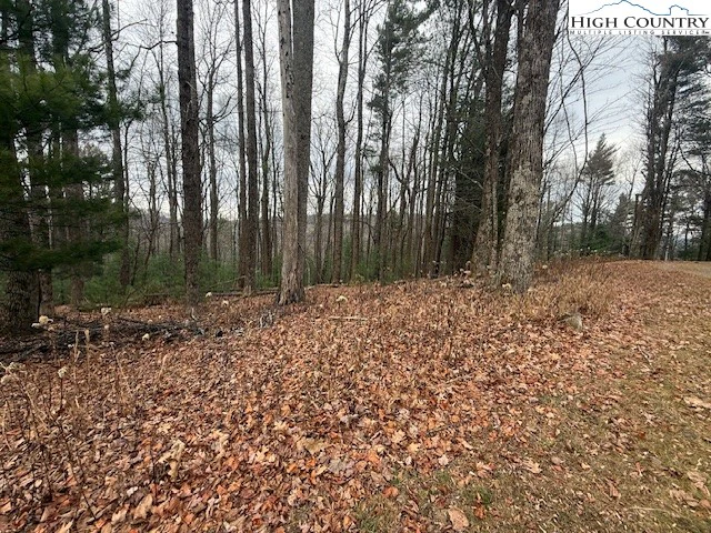 Image number 1 for the current listing