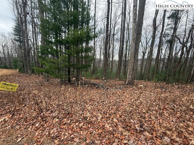 Image number 3 for the current listing