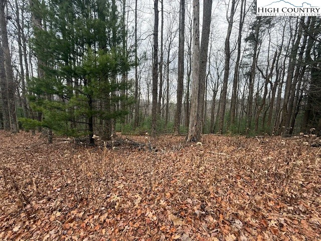 Image number 4 for the current listing
