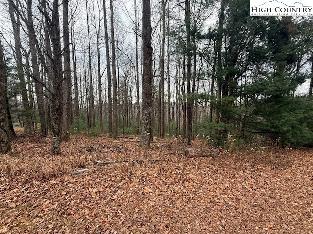Image number 5 for the current listing