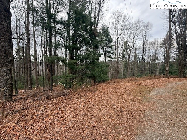 Image number 6 for the current listing
