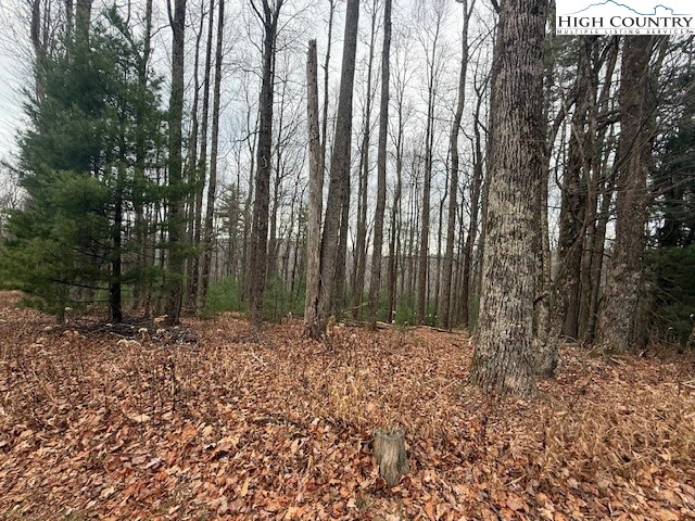 Image number 7 for the current listing