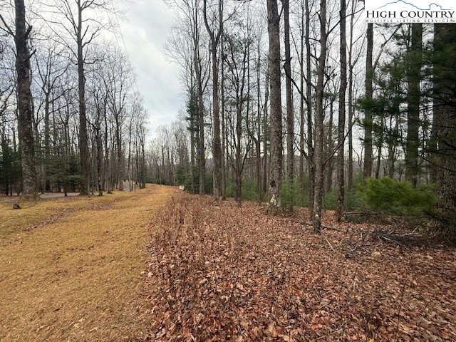Image number 9 for the current listing