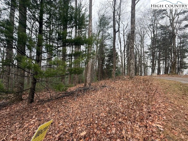 Image number 11 for the current listing