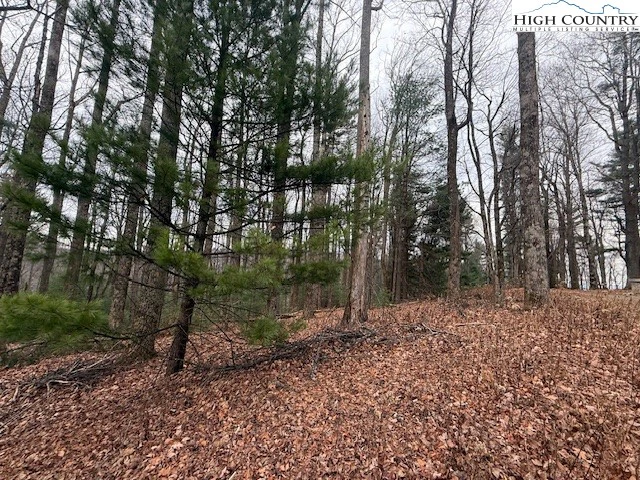 Image number 12 for the current listing