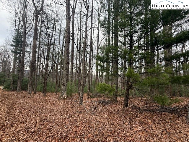 Image number 13 for the current listing