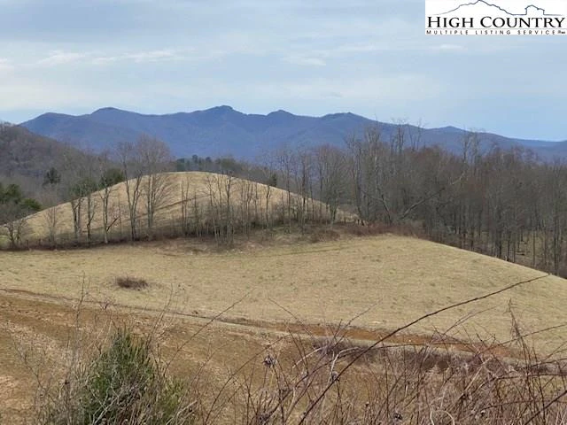 Image number 1 for the current listing