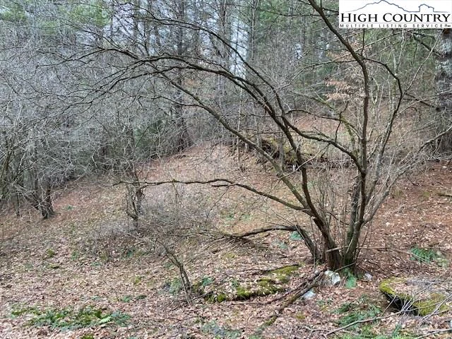 Image number 28 for the current listing