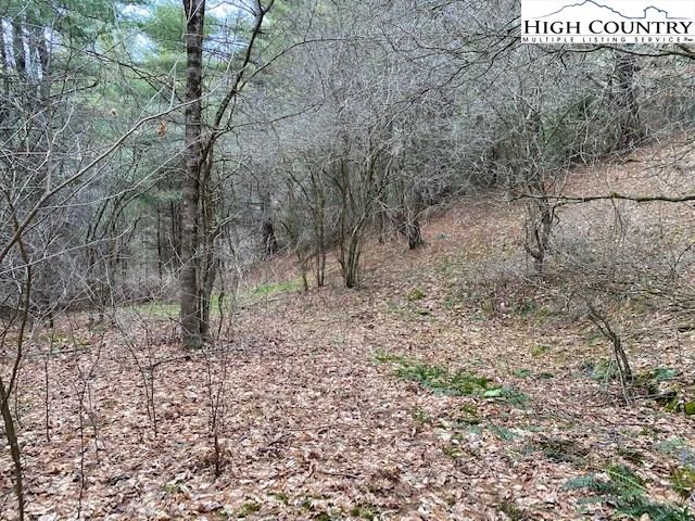 Image number 3 for the current listing