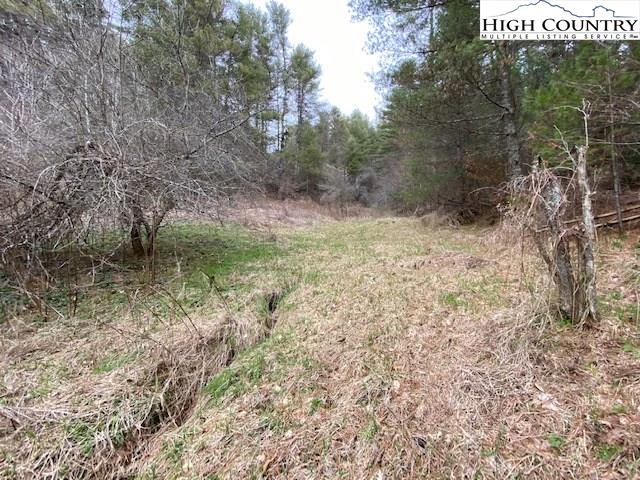 Image number 9 for the current listing
