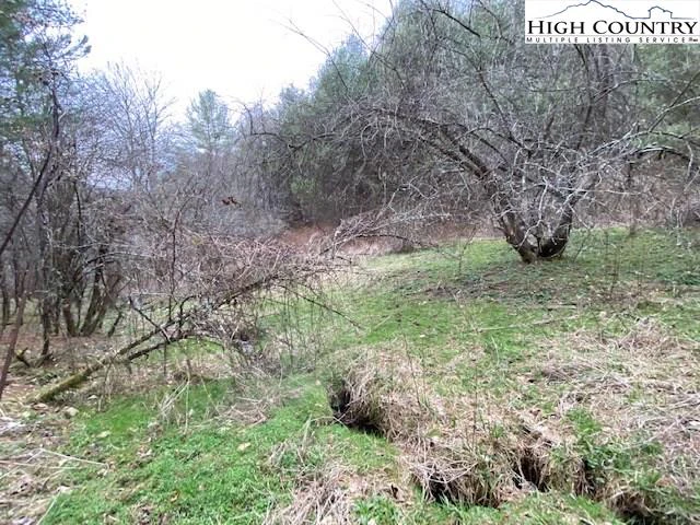 Image number 2 for the current listing