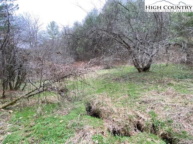Image number 11 for the current listing