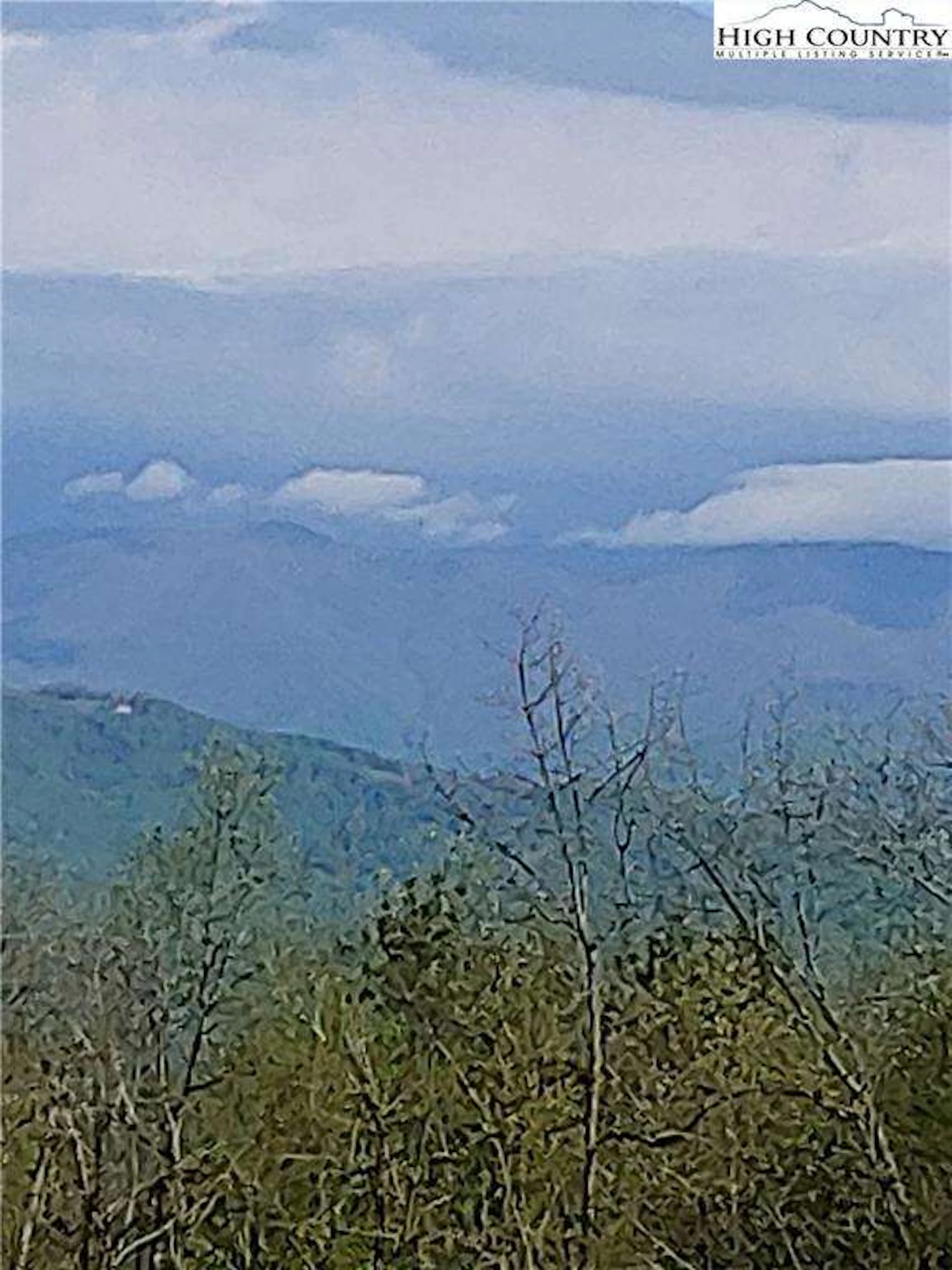 Image number 1 for the current listing