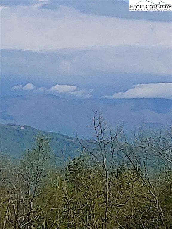Image number 1 for the current listing